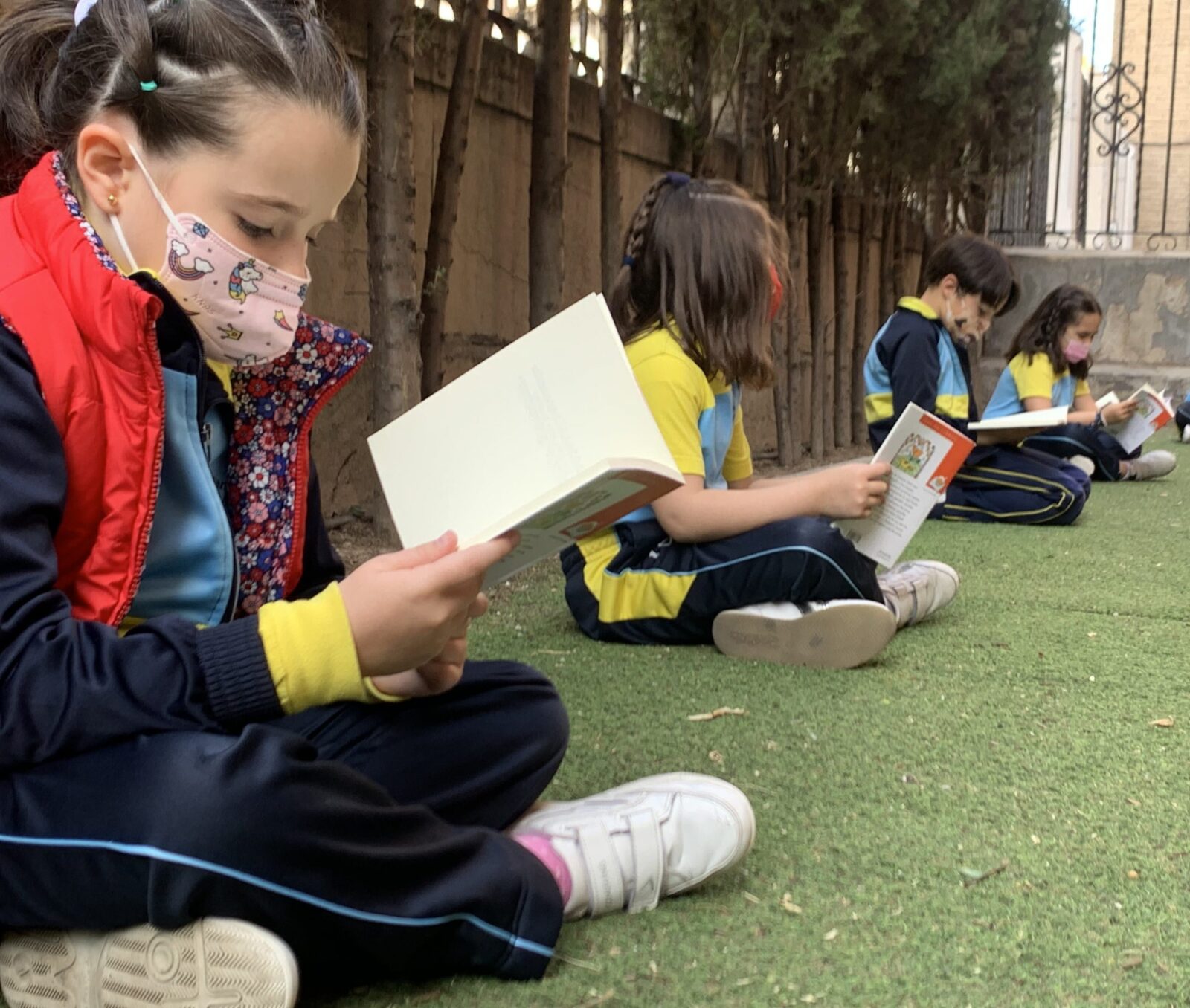 Educación primaria